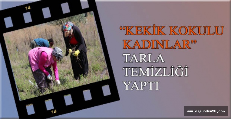 “KEKİK KOKULU KADINLAR” TARLA TEMİZLİĞİ YAPTI