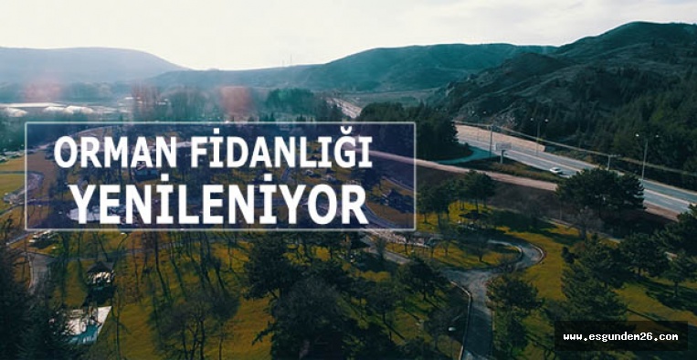 ORMAN FİDANLIĞI YENİLENİYOR