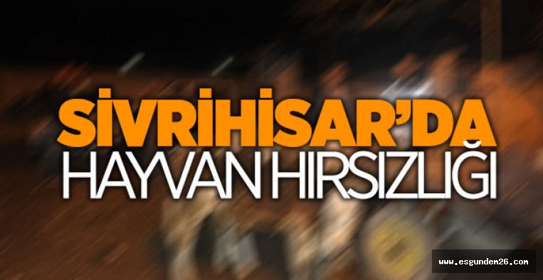 SİVRİHİSAR'DA HAYVAN HIRSIZLIĞI