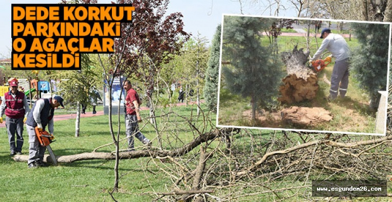 DEDE KORKUT PARKINA RÖTUŞ