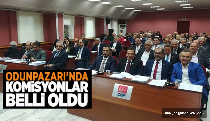 İŞTE YENİ ODUNPAZARI BELEDİYE MECLİSİ