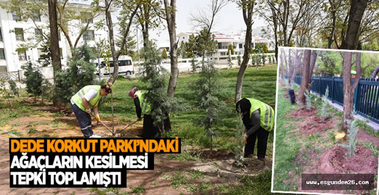 DEDE KORKUT PARKINA 360 ADET FİDAN DİKİLDİ