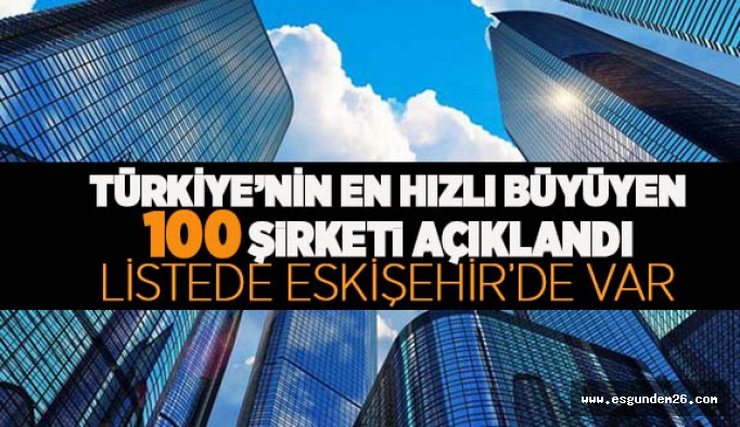 İŞTE EN HIZLI BÜYÜYEN 100 ŞİRKET