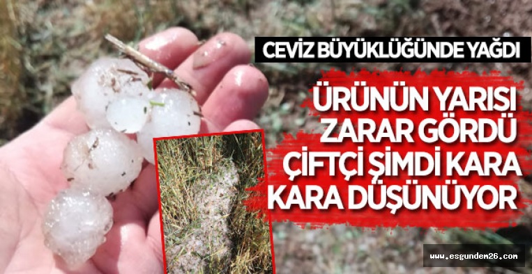 ESKİŞEHİR'DE DOLU ÇİFTÇİYİ VURDU