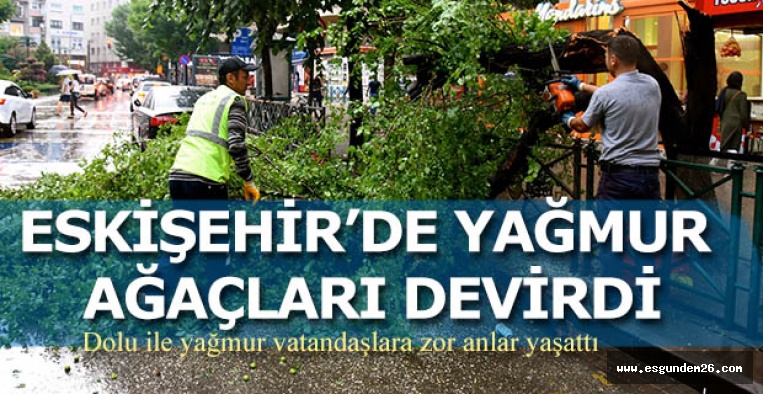 ESKİŞEHİR’DE YAĞMUR AĞAÇLARI DEVİRDİ