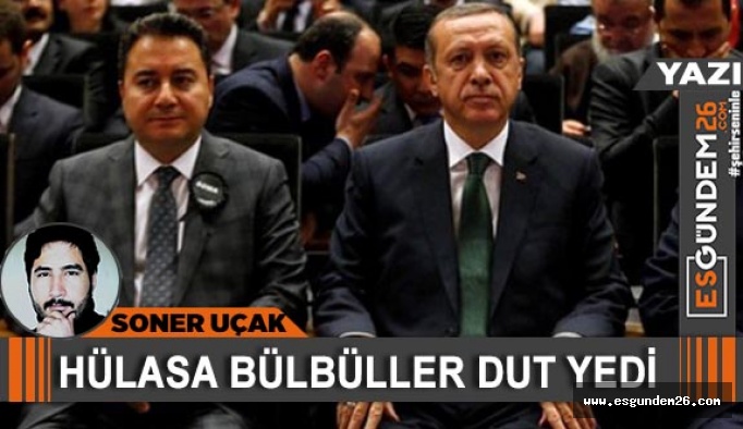 HÜLASA BÜLBÜLLER DUT YEDİ