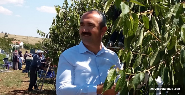 BAŞKAN KİRAZ TOPLADI