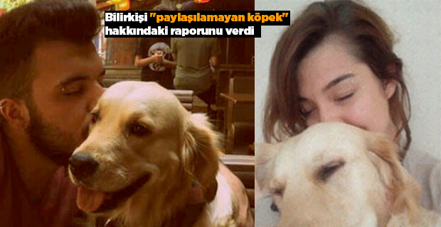 PAYLAŞILMAYAN KÖPEK HAKKINDA KARAR VERİLDİ