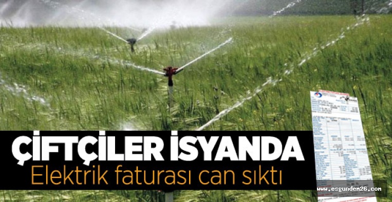 ESKİŞEHİRLİ ÇİFTÇİLERİN FATURA TEPKİSİ!