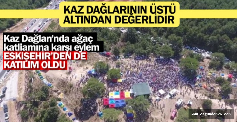 Kaz Dağları'nda ağaç katliamına karşı eylem