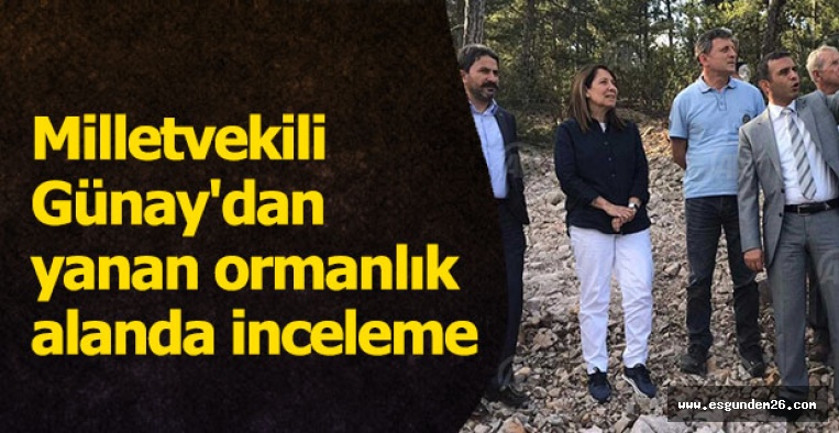 Milletvekili Günay'dan yanan ormanlık alanda inceleme