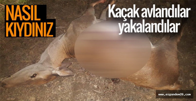 KAÇAK AVLANANLAR YAKALANDI