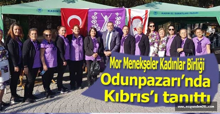 Mor Menekşeler Kadınlar Birliği Odunpazarı’nda Kıbrıs’ı tanıttı