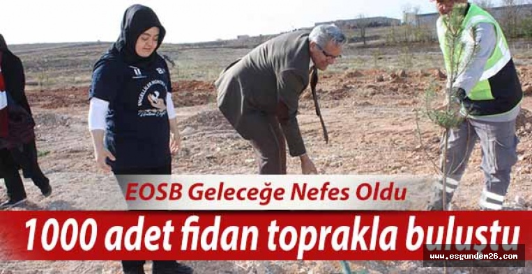 EOSB   1000 adet fidan ekti