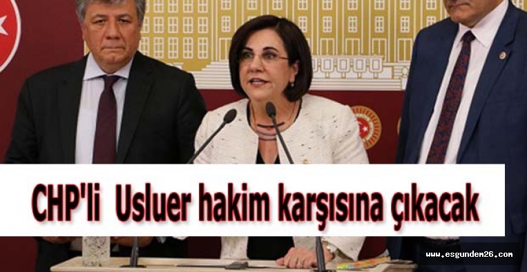 USLUER: BU DAVANIN AMACICHP’Yİ SUSTURMAK