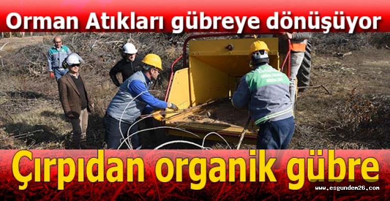 ESKİŞEHİR ORMAN MÜDÜRLÜĞÜ ÜRETECEK