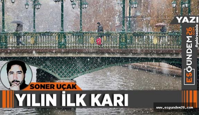 Yılın ilk karı