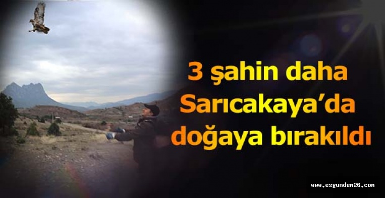 HAYVANAT BAHÇESİ’NİN MİSAFİRLERİ DOĞAYA SALINDI