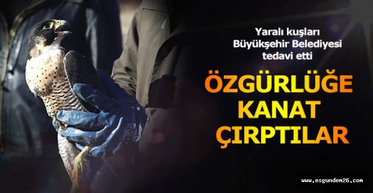 ÖZGÜRLÜĞE KANAT ÇIRPTILAR