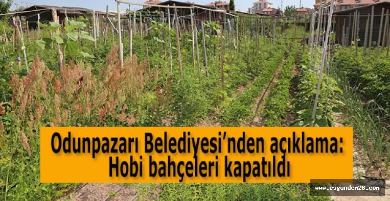 Hobi bahçeleri kapatıldı