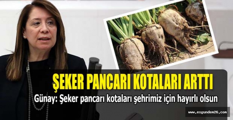 ŞEKER PANCARI KOTALARI ARTTIRILDI