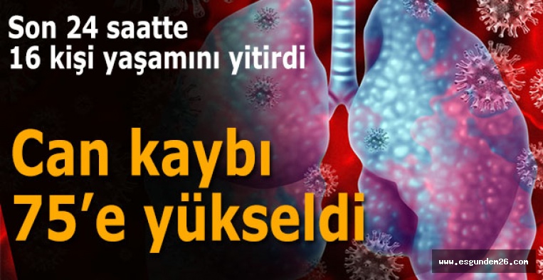 Son 24 saatte 16 kişi yaşamını yitirdi