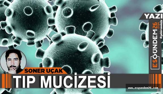 TIP MUCİZESİ