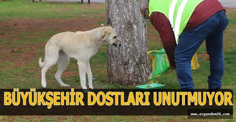 BÜYÜKŞEHİR DOSTLARI UNUTMUYOR