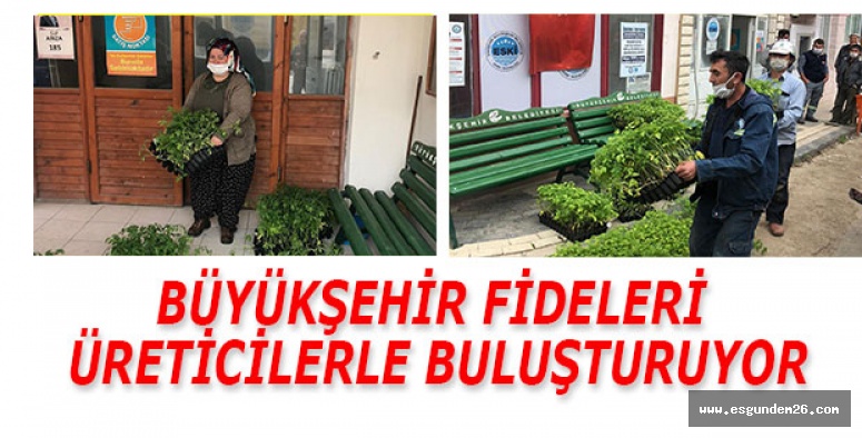 BÜYÜKŞEHİR FİDELERİ  ÜRETİCİLERLE BULUŞTURUYOR