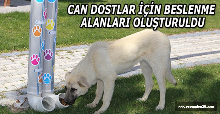 CAN DOSTLAR İÇİN BESLENME ALANLARI OLUŞTURULDU