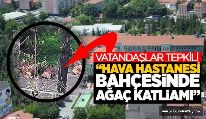 “Hastane bahçesinde ağaç katliamı”