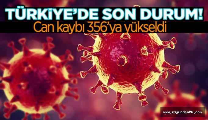 Son 24 saatte 79 vatandaşımızı yitirdik