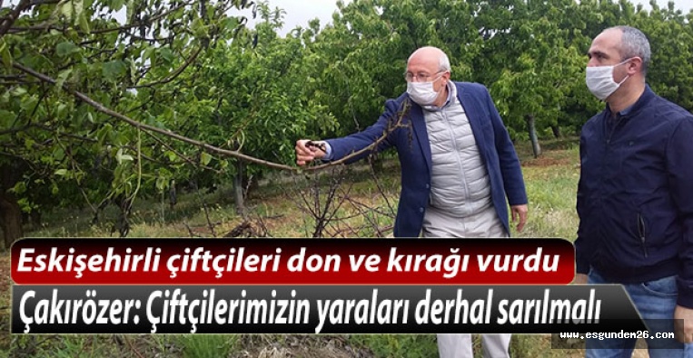 Eskişehirli çiftçilerin mahsullerini don ve kırağı vurdu