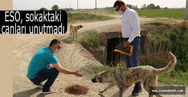 ESO, sokaktaki canları unutmadı