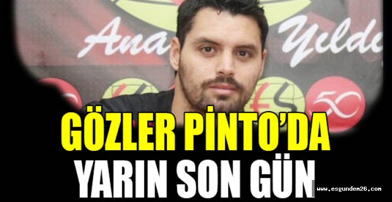 GÖZLER PİNTO’DA