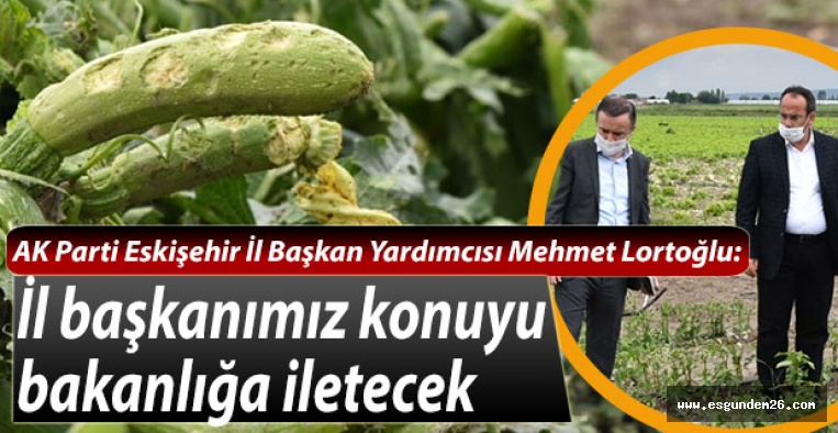 AK Parti’den çiftçilere geçmiş olsun ziyareti