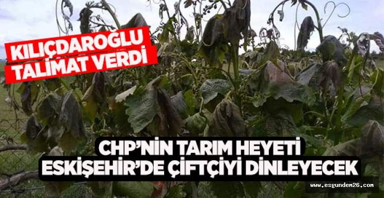 CHP’nin tarım heyeti Eskişehir’de çiftçiyi dinleyecek