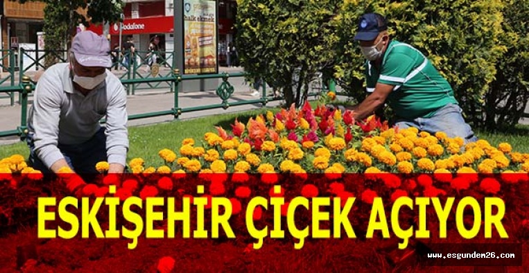 ESKİŞEHİR ÇİÇEK AÇIYOR