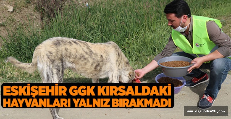 Eskişehir GGK kırsaldaki hayvanları yalnız bırakmadı