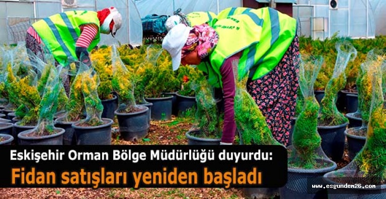 FİDAN SATIŞLARI YENİDEN BAŞLADI