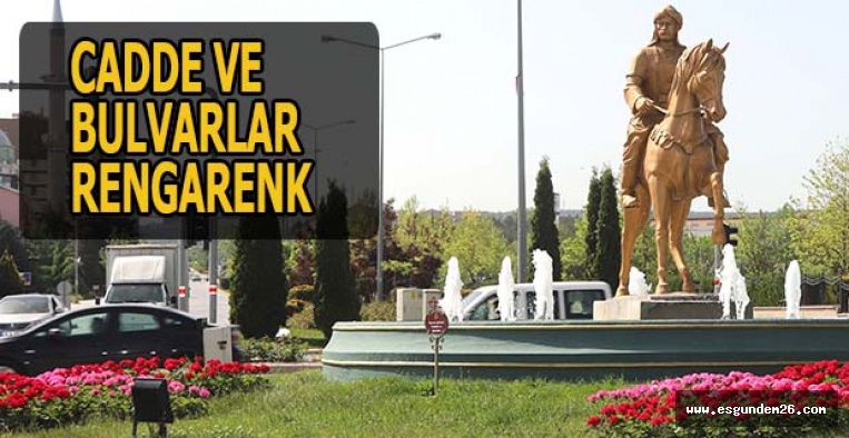 CADDE VE BULVARLAR RENGARENK