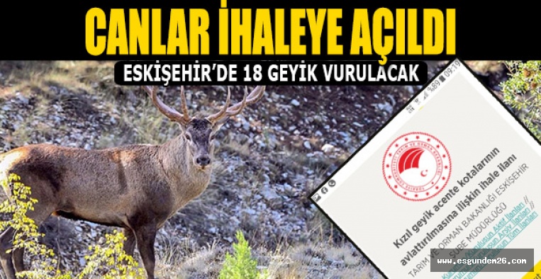 Eskişehir’de geyikleri vuracaklar