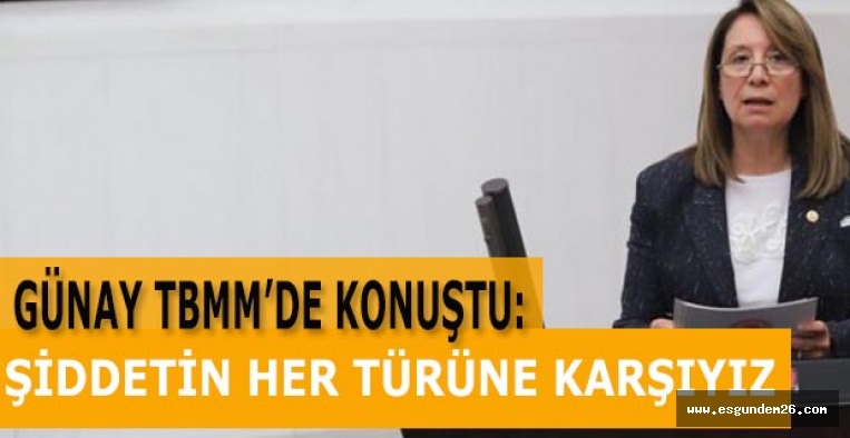 Günay kadına yönelik şiddeti meclis gündemine taşıdı