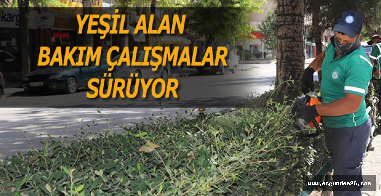 YEŞİL ALAN BAKIM ÇALIŞMALARI SÜRÜYOR