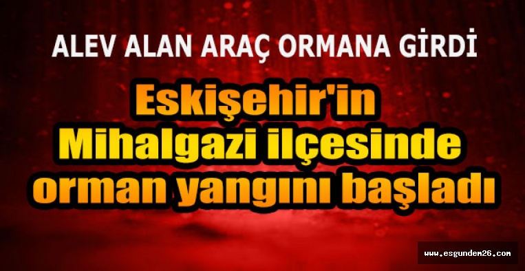 Eskişehir'in Mihalgazi ilçesinde orman yangını başladı