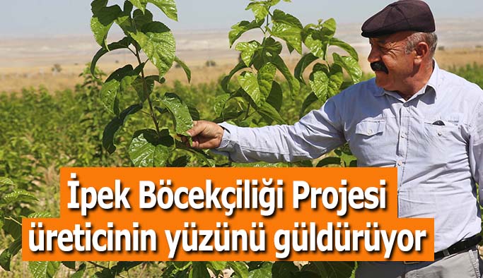 İpek Böcekçiliği Projesi üreticinin yüzünü güldürüyor