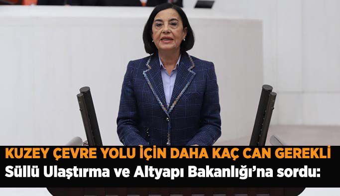 “KUZEY ÇEVRE YOLU İÇİN DAHA KAÇ CAN GEREKLİ”