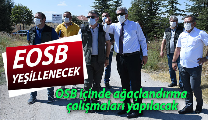 OSB’DE AĞAÇLANDIRMA ÇALIŞMASI YAPILACAK