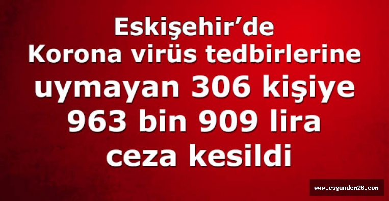 306 kişiye 963 bin 909 lira ceza kesildi