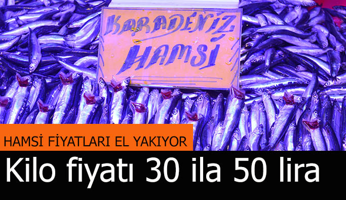 Eskişehir’de hamsi fiyatı 50 liraya kadar yükseldi